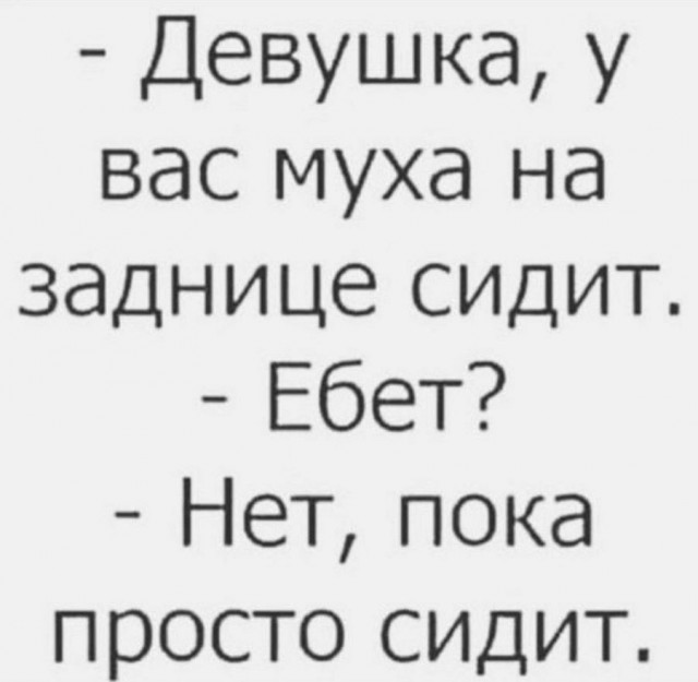 Подборка баянов