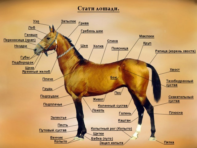 Кто-то Собчак нос свернул?