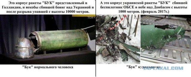 Адвокат допустил наличие у НАТО спутниковых данных с места крушения MH17