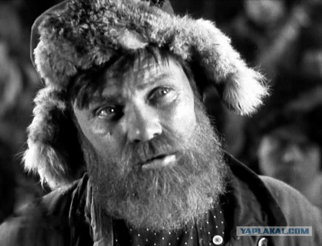 Дичь! На Пушкинской избили противника Алексея Навального, который забрался с плакатом против оппозиционера на фонарный столб