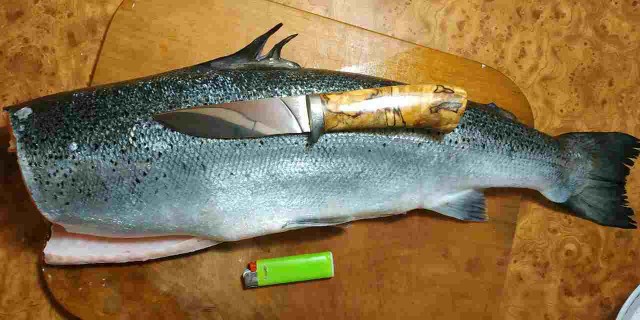 Еще внукам послужит: лучшие и прочнейшие ножевые стали