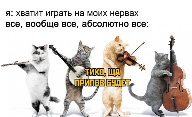 Весёлый полтишок 5.03