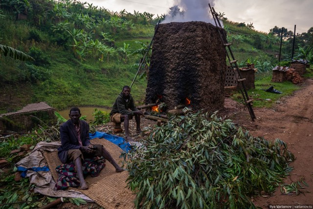 Уганда: самая настоящая Африка с гориллами и носорогами!