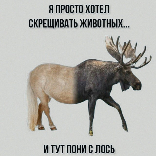 Кофе за 300
