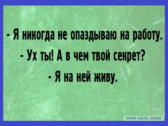 Кретинизмы из сети 19.08.2021