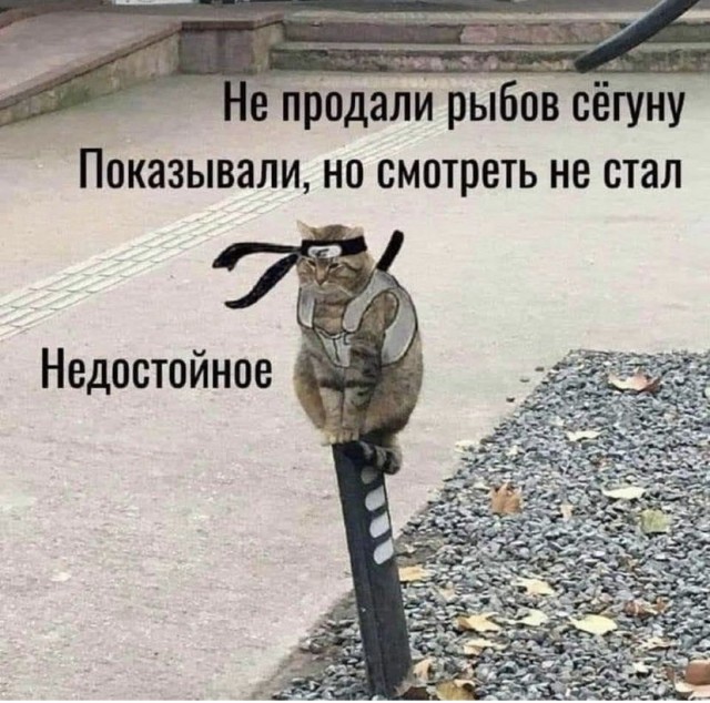 Картинки и мемы для настроения 09.06.2021