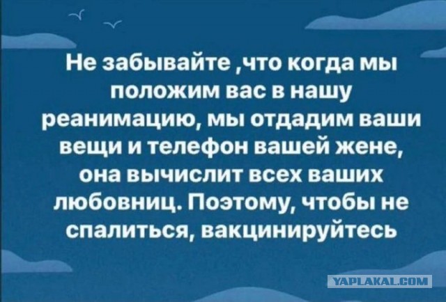 16033643.jpg