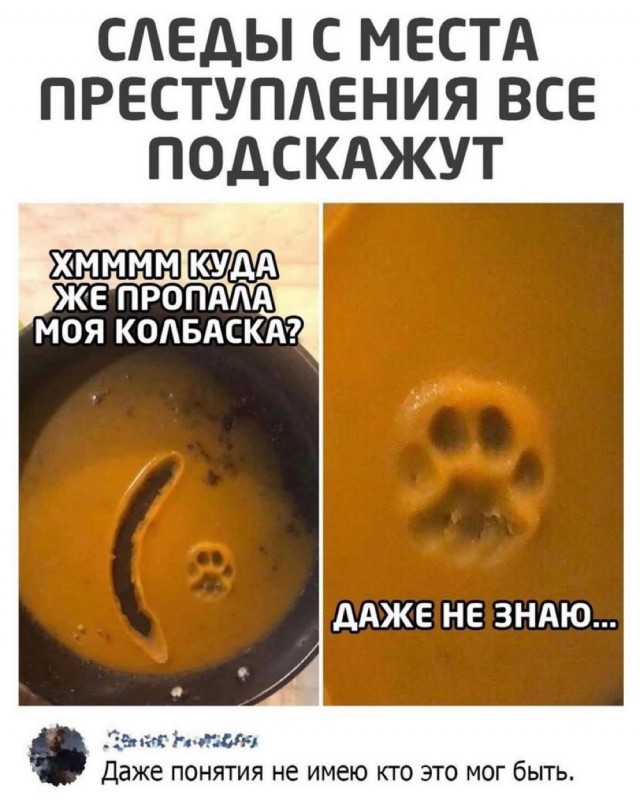 Так себе картинки 30.10.21