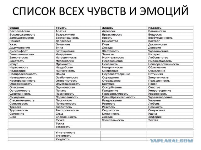 Верующие снова оскорбились