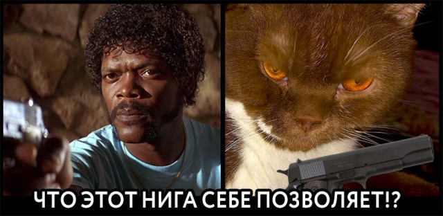Котовторник так котовторник