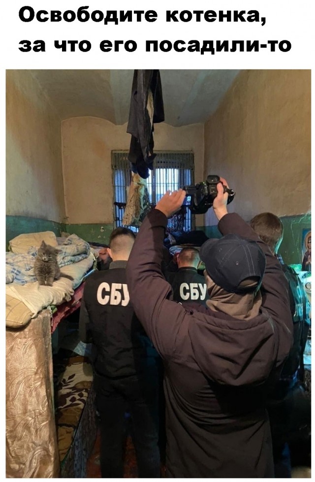 Всяческие картинки 10.12.2021
