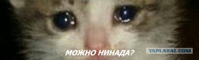И во сколько ждем астероид?