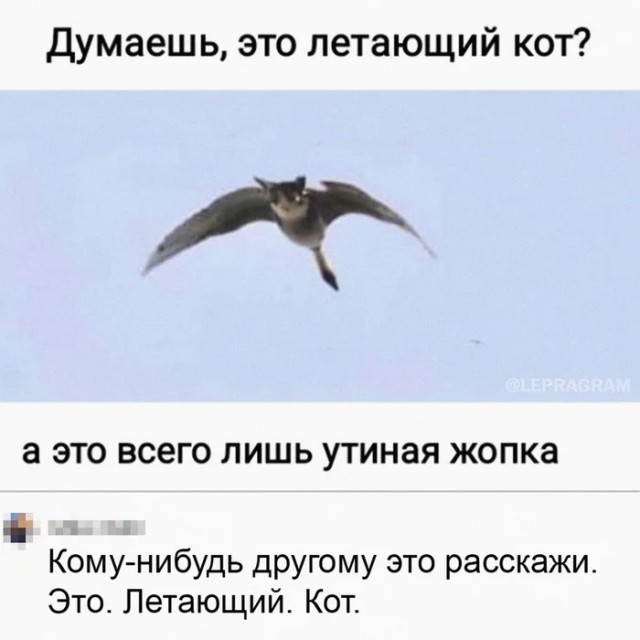 Улыбнись, не грусти!