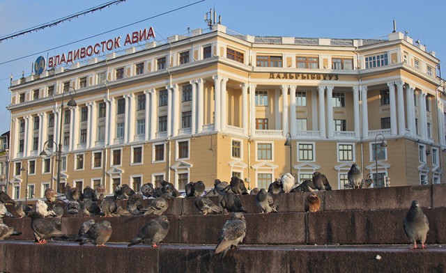Дальний Восток. Панорамы Владивостока.