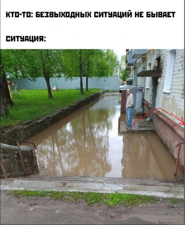 Весёлый полтишок 08.06.2022