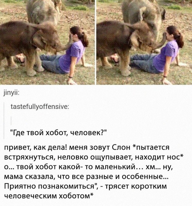 Картинки и мемы для настроения. Выходные близко...