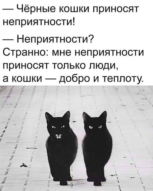 Так себе картинки 10.09.22