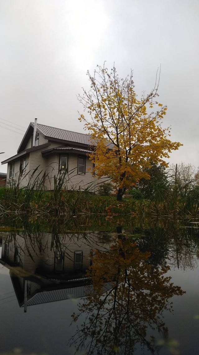 Поделимся красивыми фото с телефона?