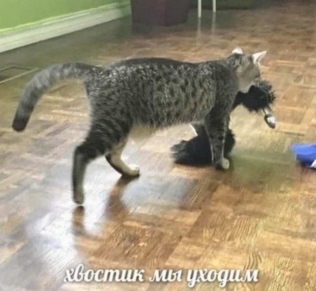 Немного картинок для настроения - 131