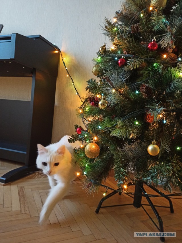 Нас наёб*вают