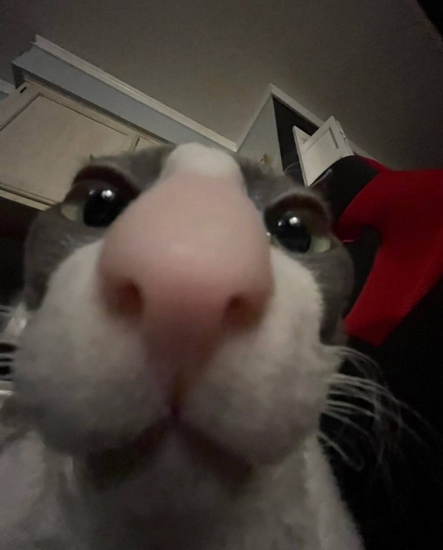 Этот человек пытался разблокировать ваш телефон