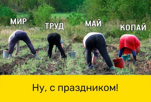 Картинки и мемы, всяко разно - 175