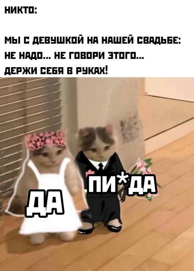 Картинки и мемы, всяко разно - 181