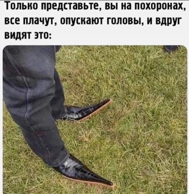 Так себе картинки 08.07.23