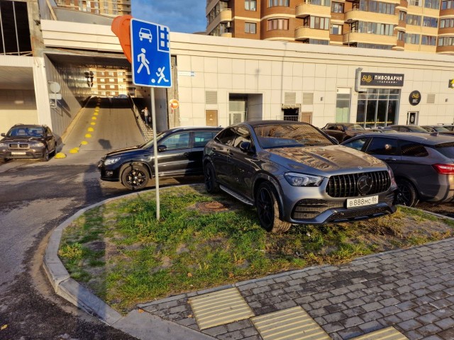 Снова на газоне...