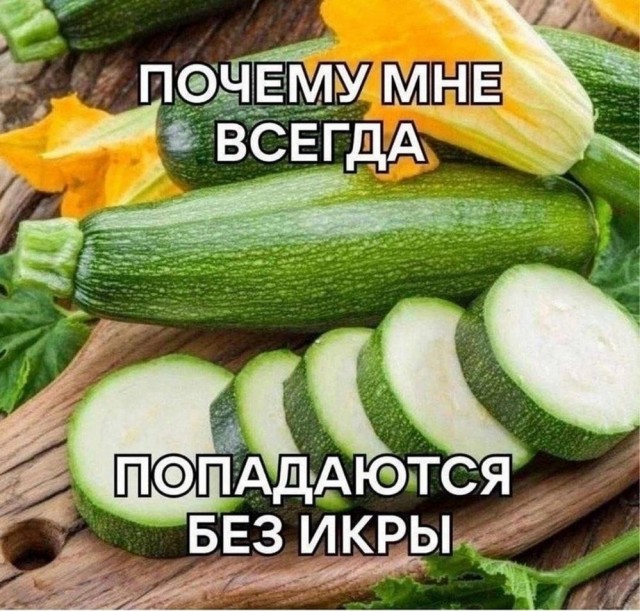 Весёлый полтишок 28.09.23