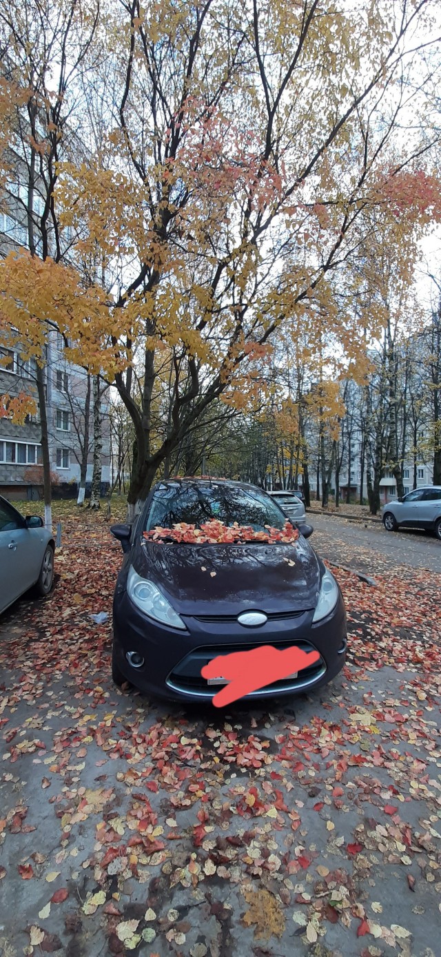 Осень в СНТ