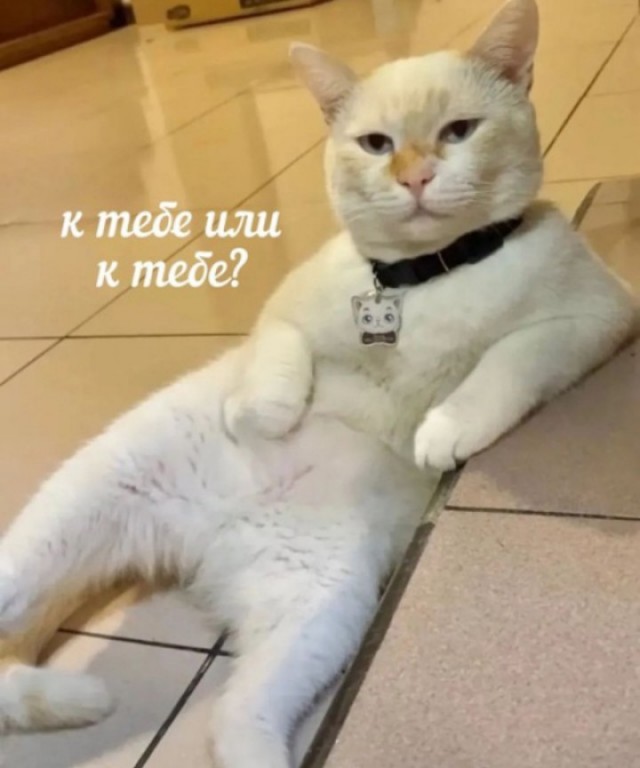 Всего понемногу. От 29.01.24