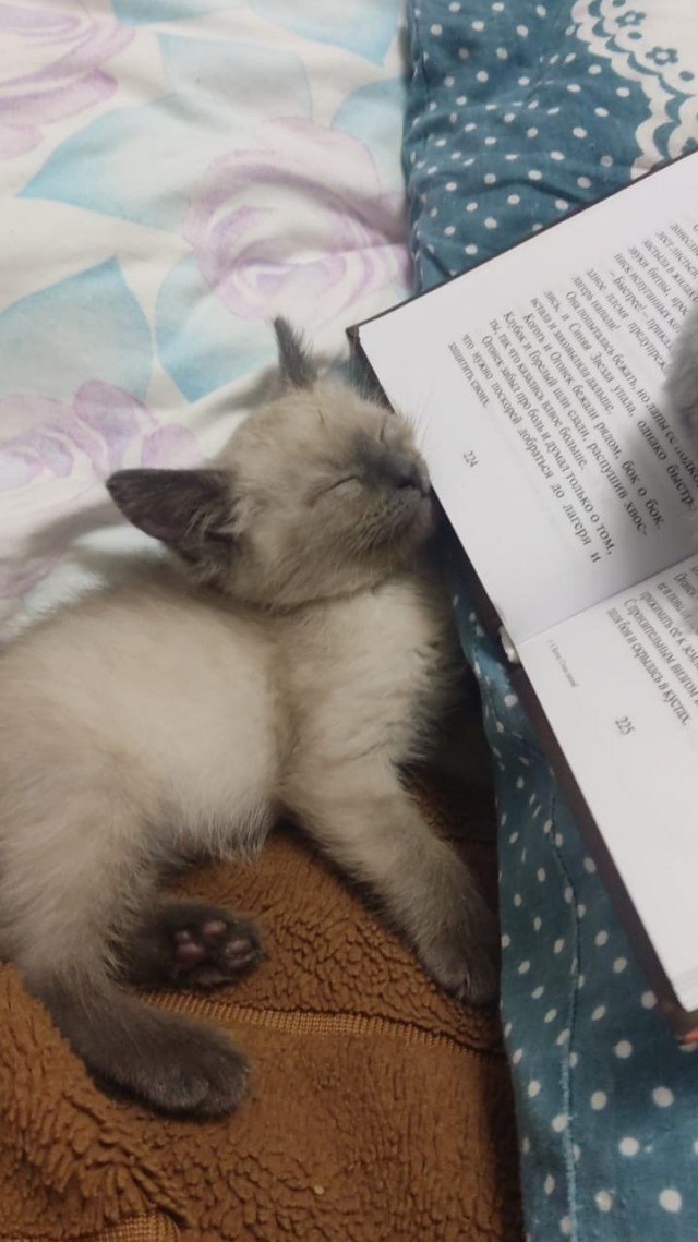 Мой рабовладелец