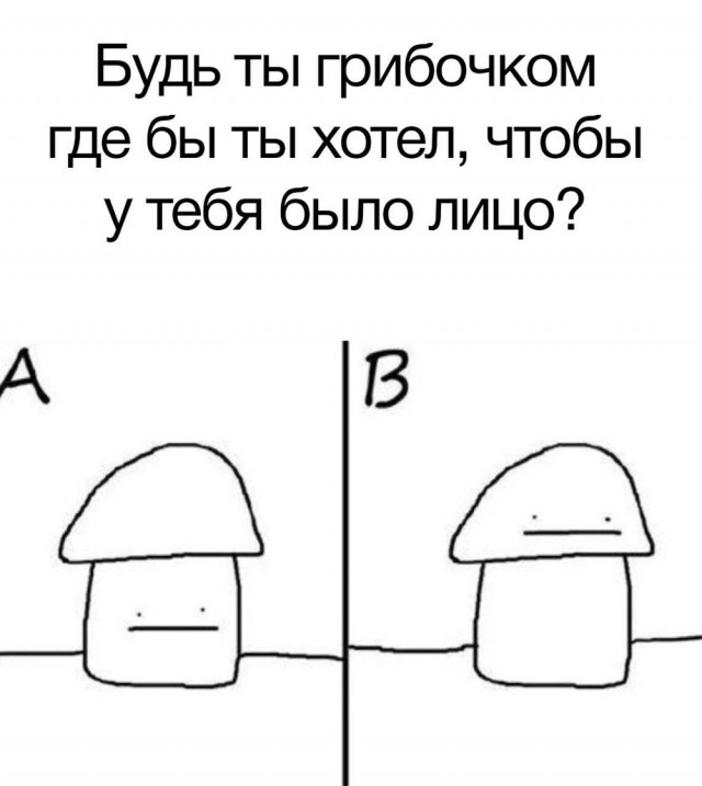 Немного забавных картинок от 22.12.24