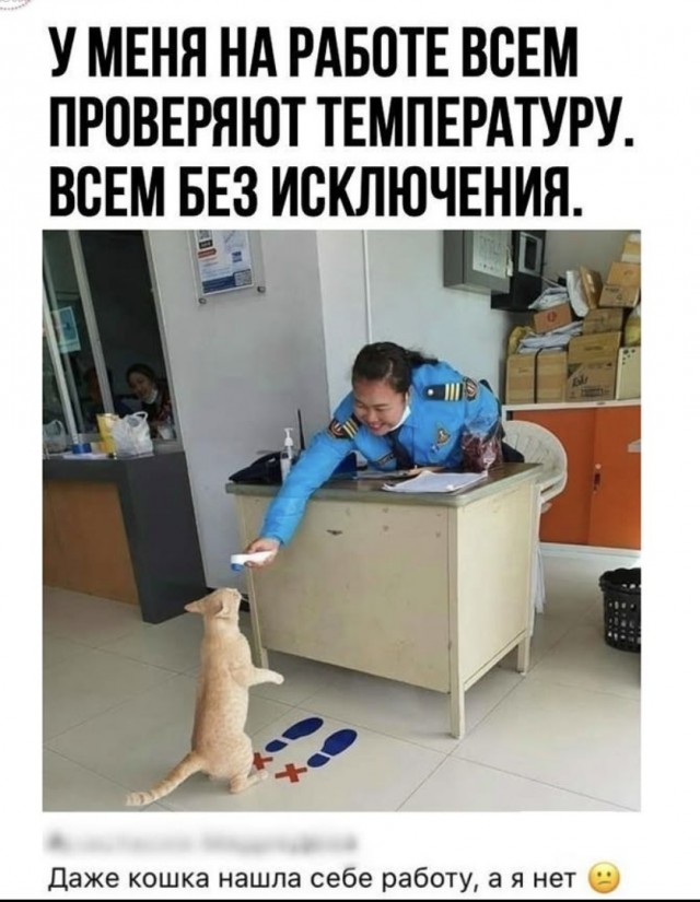 Отборные баяны 10-летней выдержки - MASCULINE - Edition