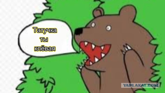 Мужчина отправил свою партнёршу в реанимацию из-за отказа заниматься сексом.