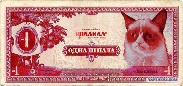 Лидер «Талибана» поздравил россиян с Пасхой в эфире Первого канала