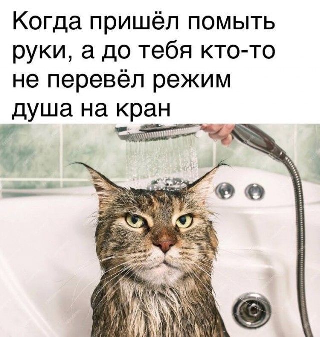 Веселые картинки