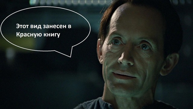 Подскажите, что за вид?