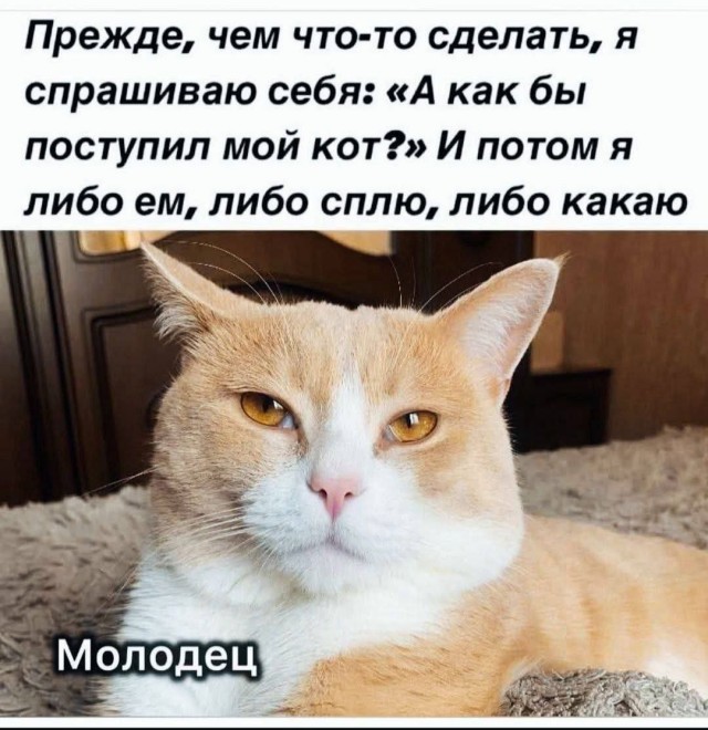 Юмор в картинках и без