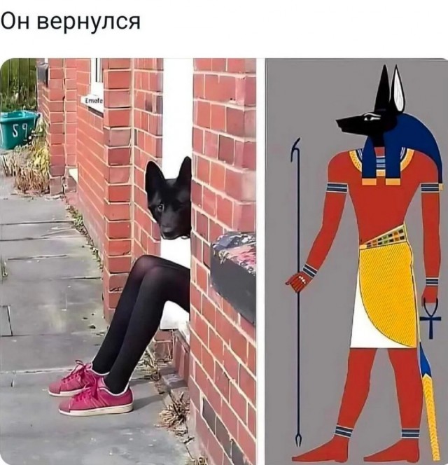 Завалялось тут случайно немного забавных картинок