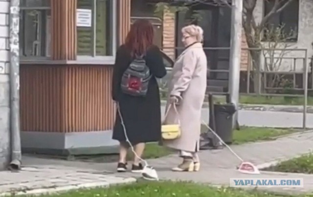 Я думал, что видел всё