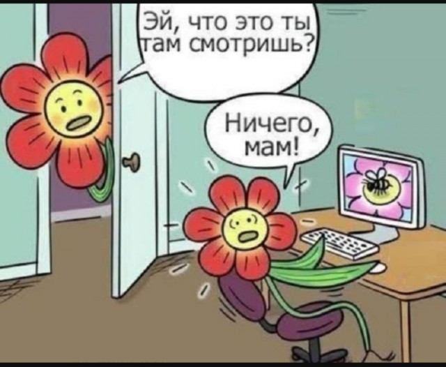 Так себе картинки 04.07.25