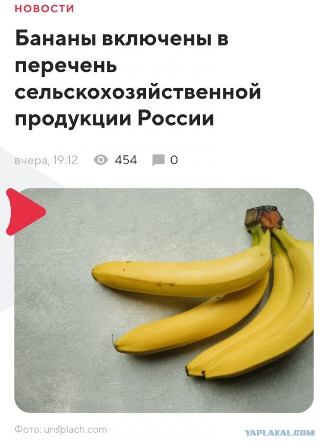 43-летний житель Подмосковья оборудовал в своём доме три теплицы с лампами, вентиляцией и поливом и выращивал коноплю «для себя»