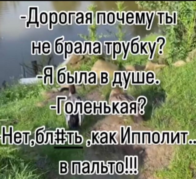 Так себе картинки 09.07.25