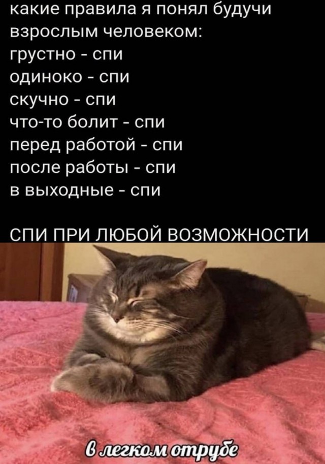 Веселые картинки в пятницу (11.07)