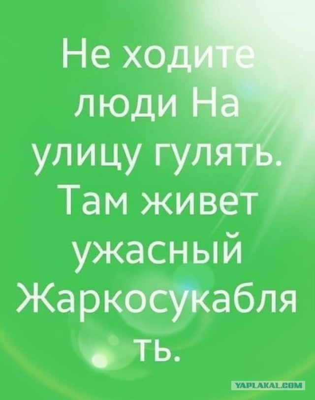 Веселые картинки в маленькую пятницу (16.07)