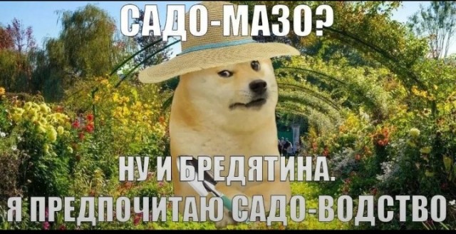 Давно не было....