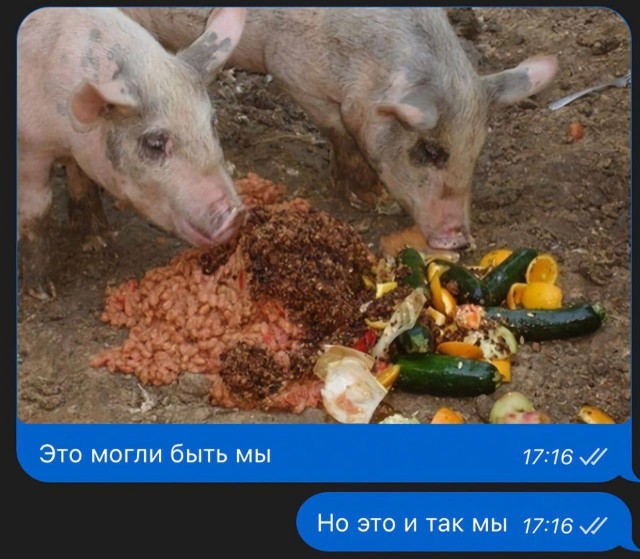 Нуштош 05.08.2025. С точки зрения банальной эрудиции (s4e6)