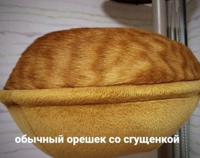 Так себе картинки 22.10.25